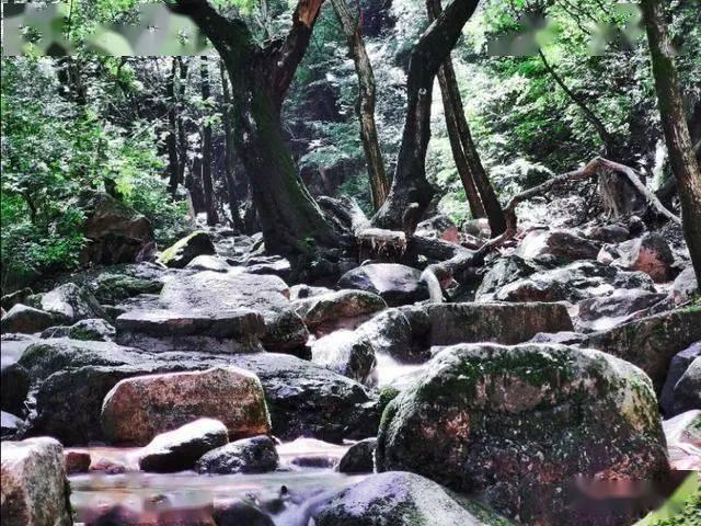 相亲时，要跟相亲对象坦白自己有同居史吗？游戏画面